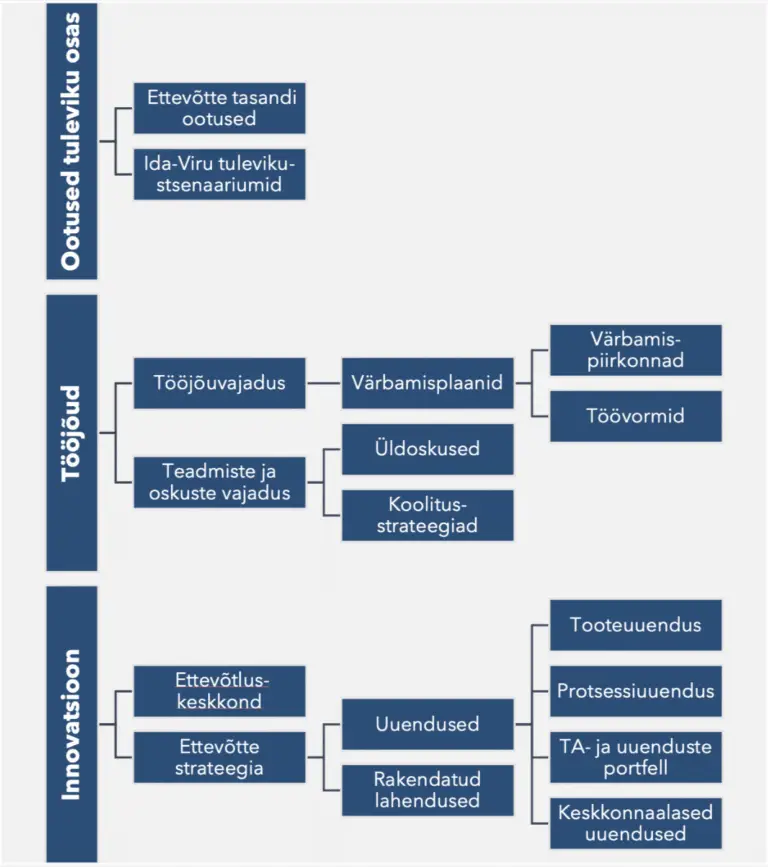 Joonis 1. Ida-Viru ettevõtete tööjõu- ja innovatsiooni küsimustiku põhistruktuur.
